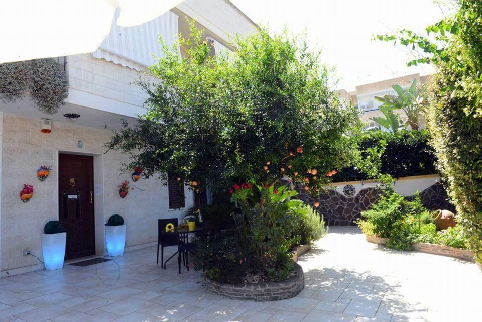 Profumo Di Mare B&B Gallipoli Luaran gambar